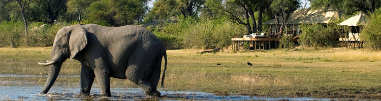 Groepsrondreizen Botswana